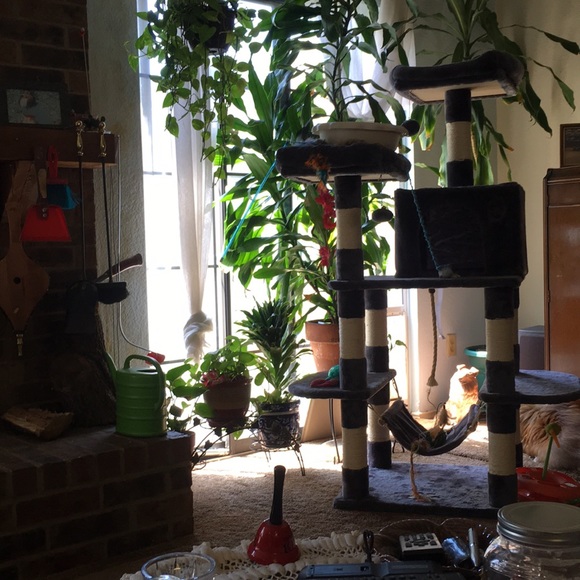 Meet your Posher, Elizabeth - Picture 1 of 1